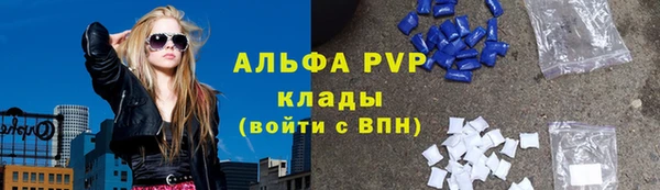амф Козловка