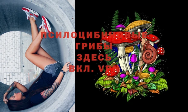 ГАЛЛЮЦИНОГЕННЫЕ ГРИБЫ Козельск