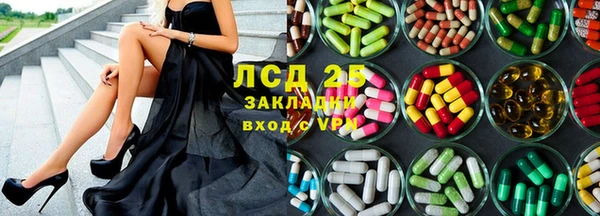 амф Козловка