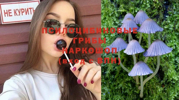 ГАЛЛЮЦИНОГЕННЫЕ ГРИБЫ Козельск