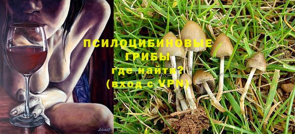 амф Козловка