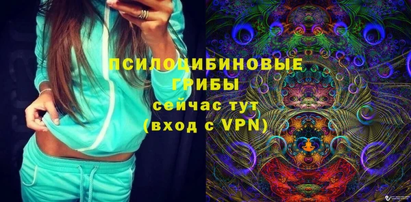 амф Козловка