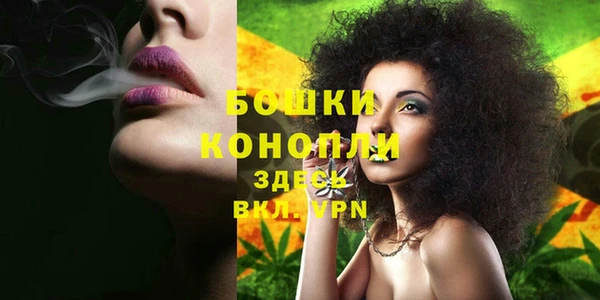 амф Козловка