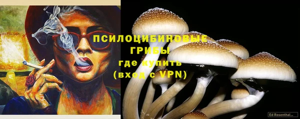 ГАЛЛЮЦИНОГЕННЫЕ ГРИБЫ Козельск