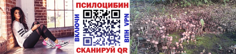 Псилоцибиновые грибы мухоморы  Купить где  Коломна 
